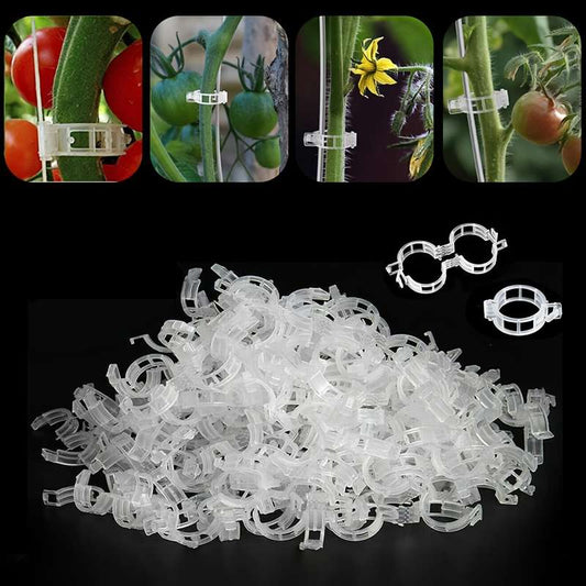 150 tomato clips