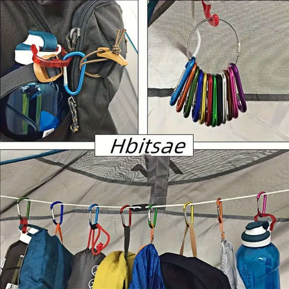10 Pack Vitality Mini Carabiner Keychain Durable Aluminum Alloy Spring Hook Clip for Outdoor Cameras