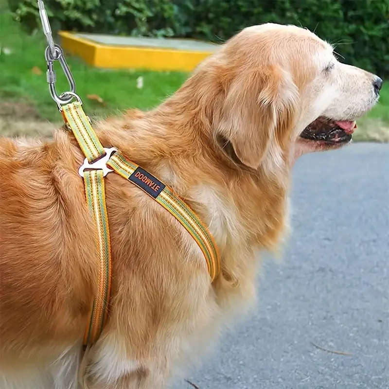 Heavy-duty dog leash