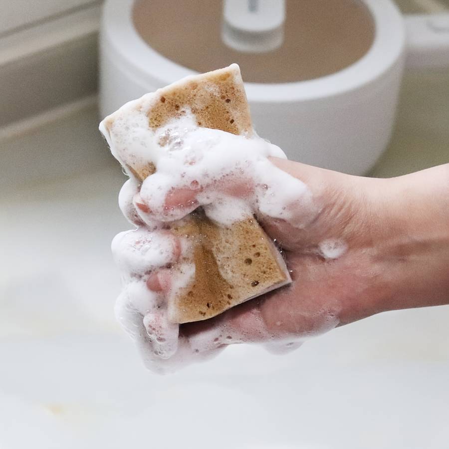 5 multi-layer algae removal sponges