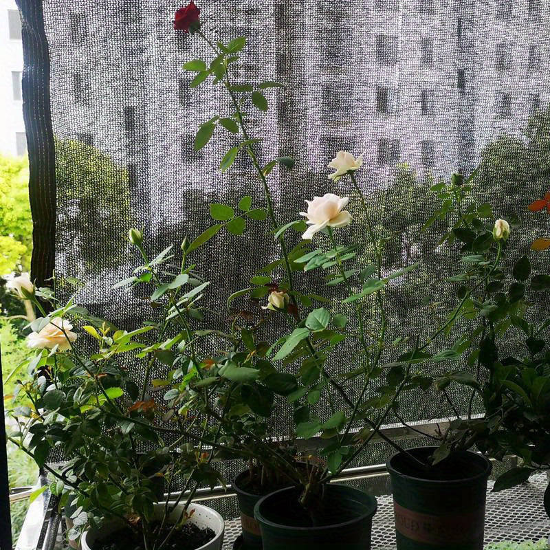 UV-resistant black high-density polyethylene sunshade net 2×3m