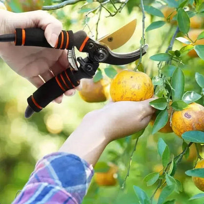 Two-Piece 8.5" Professional Titanium Bypass Pruners