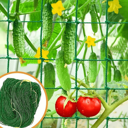 High-strength polyester garden pergola netting