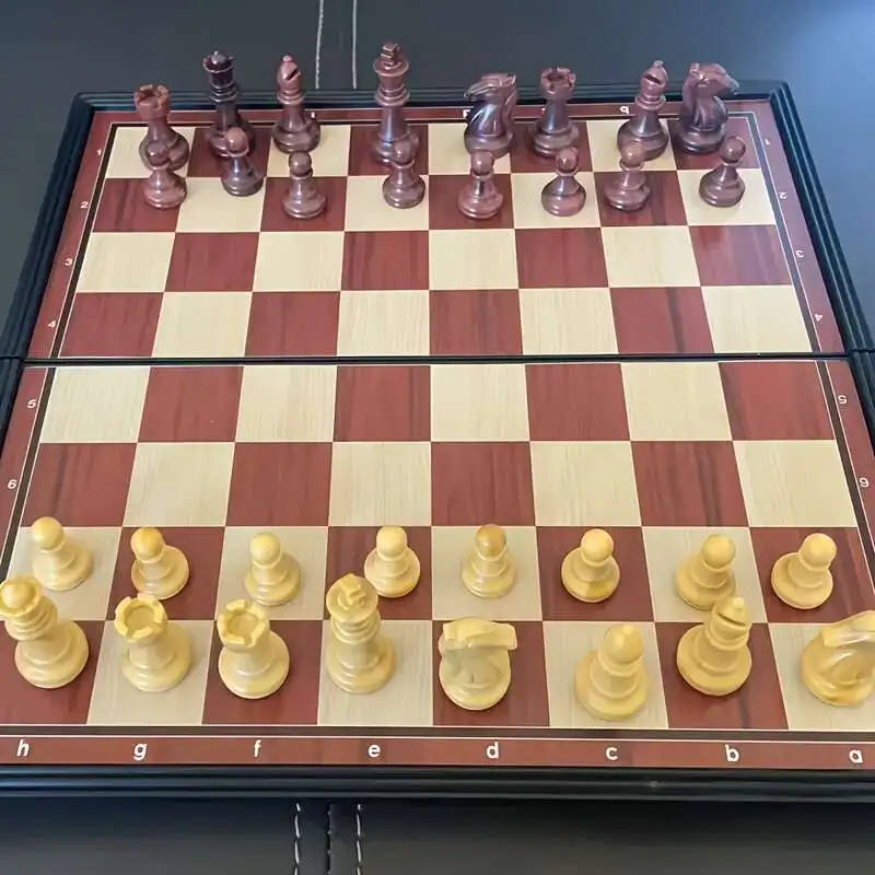 1 professional magnetic folding chessboard