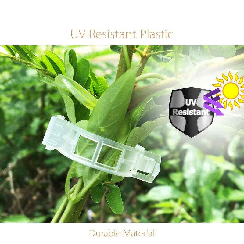 100 Pieces Tomato Cli