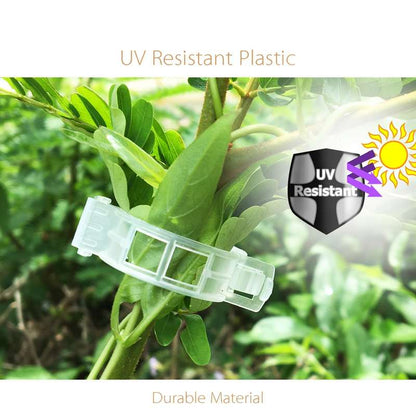 100 Pieces Tomato Cli