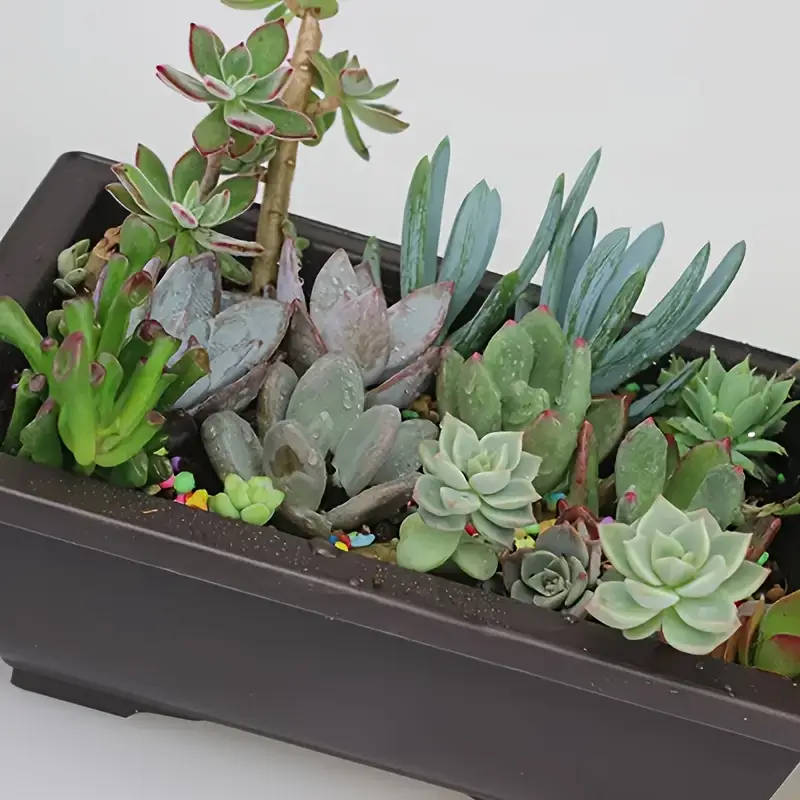 6-Piece Classic Rectangular Imitation Purple Clay Flower Pot Set