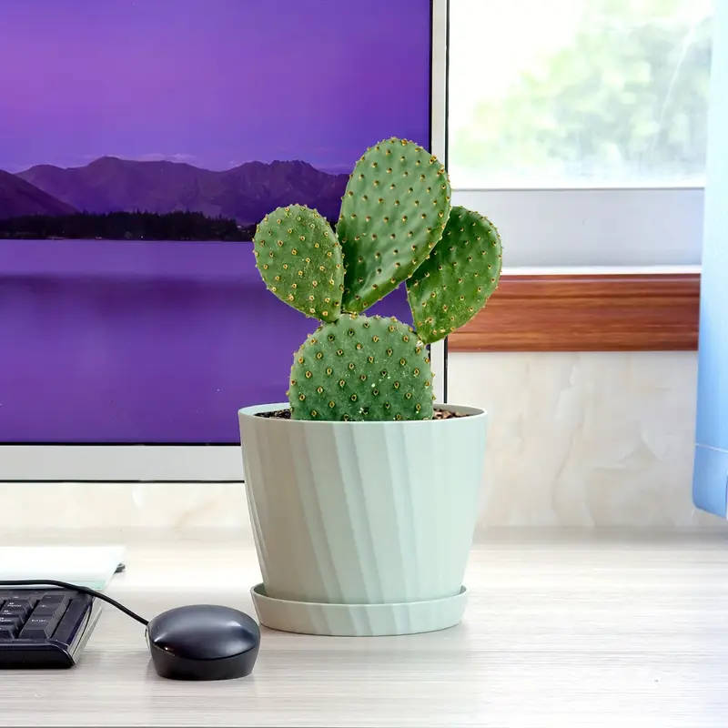 6 six-inch garden pots, grey pitted