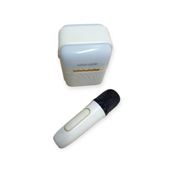 Wolulu AS-50198 Karaoke Bluetooth Speaker With Microphone