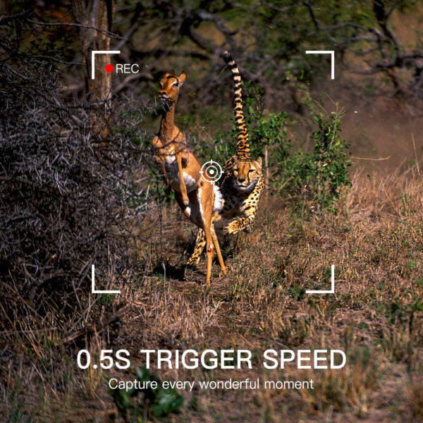 HC901 Solar Powered Wifi Hunting Camera With KingFisherPro App