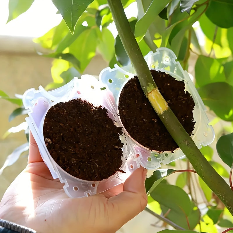 10-Pack Plant Root Growth Boxes, Reusable Non-Destructive High-Pressure Propagation Bulb Plant Root Grafting Device Boxes for Rapid Plant Air Propagation