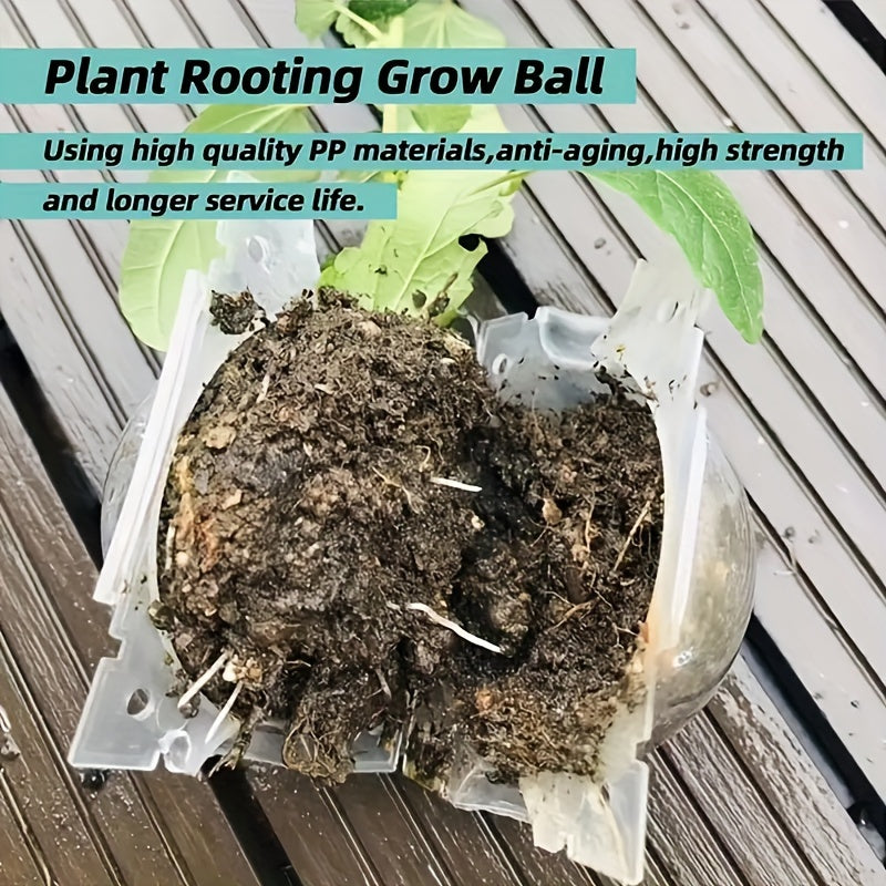 10-Pack Plant Root Growth Boxes, Reusable Non-Destructive High-Pressure Propagation Bulb Plant Root Grafting Device Boxes for Rapid Plant Air Propagation