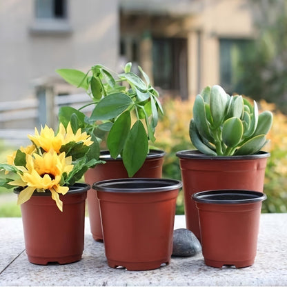 10-pack seedling pots, flower pots, nutrient cups for growing succulent plants, vegetable seedlings, saplings, flowers with drainage holes to prevent roots from being suffocated