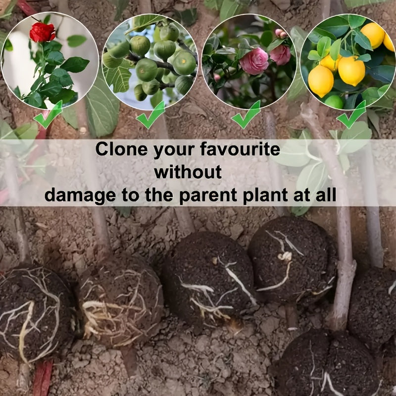 10-Pack Plant Root Growth Boxes, Reusable Non-Destructive High-Pressure Propagation Bulb Plant Root Grafting Device Boxes for Rapid Plant Air Propagation