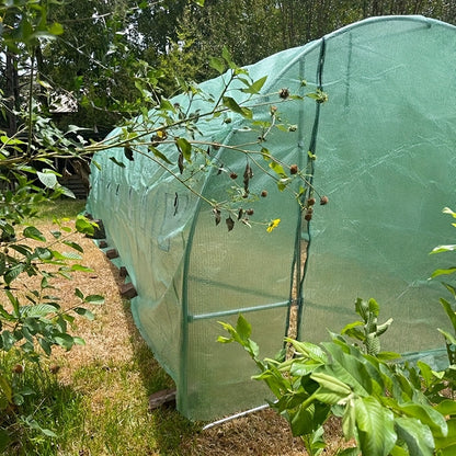 Heavy Duty Green Transparent Tarp -, UV and Waterproof Plastic Cover,