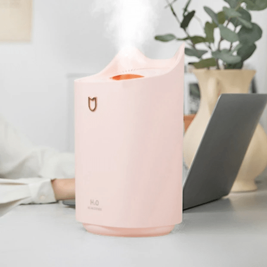2.3ltr USB Double Nozzle Humidifier