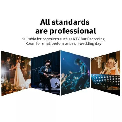 U2 UFH Wireless Handheld Microphone