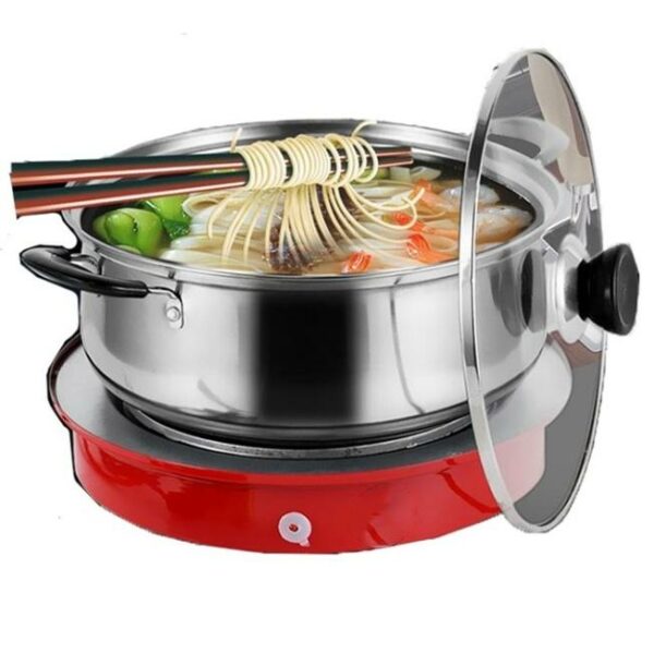 Single Plate Stove With Battery Leads 12V 450W