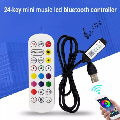 Bluetooth RED 2021-24 Key With Lamp Remote Control