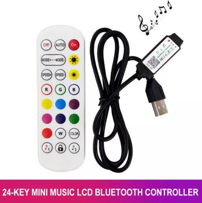 Bluetooth RED 2021-24 Key With Lamp Remote Control