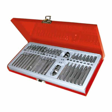 Set of 40 interchangeable bits