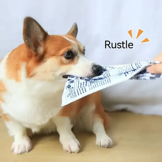 Pet Chew Toy