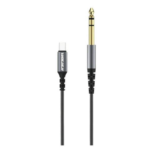 Wolulu AS-51175 Type-C To Male 6.35 Cable 1.5m