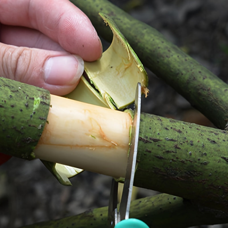 Professional Stainless Steel Grafting Tool with Bark Cutter & Ring Knife   Heavy Duty Pruning Scissors for Fruit Trees  Vines  and Ornamental Plants  Durable Garden Shears For Orchard & Vineyard Maintenance  Classic Design  Ambidextrous Use