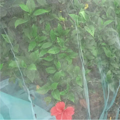 2m*6m   Heavy Duty Green Garden Netting