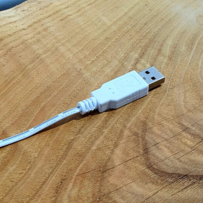 C-12 Rainbow Neon 15″ Wall Mount Display Sign