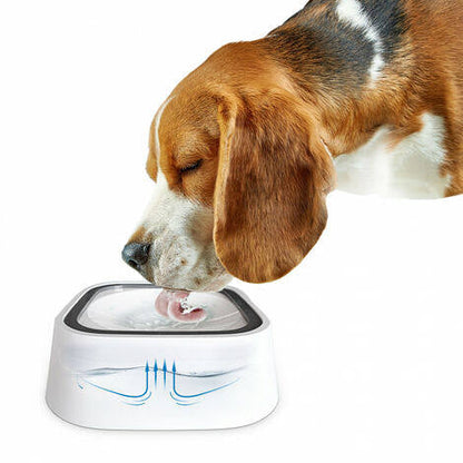 Pet bowl