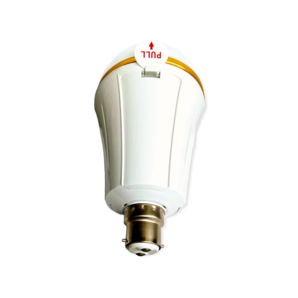 Aerbes AB-Z954 30W Rechargeable LED Bulb Light B22