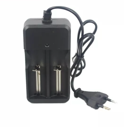 FA-8009 18650 Lithium Battery Charger