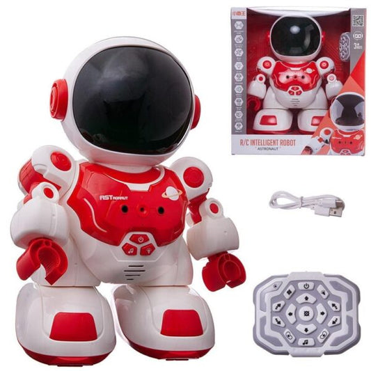 0016 Astronaut Intelligent Robot