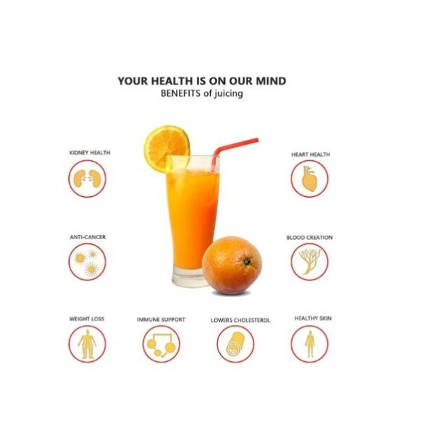 Aorlis AO-78225 Electric Juice Maker 180W