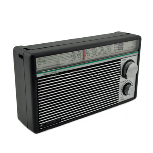 Multifunctional Mono Radio Pointer Type