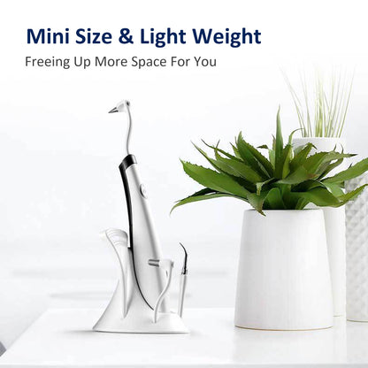 Electric Ultra-Sonic Acoustic Toothbrush Vibration Tooth Cleaner Scaler Tooth